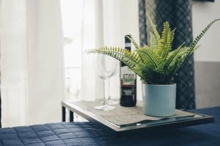 Ideal Boutique - 587