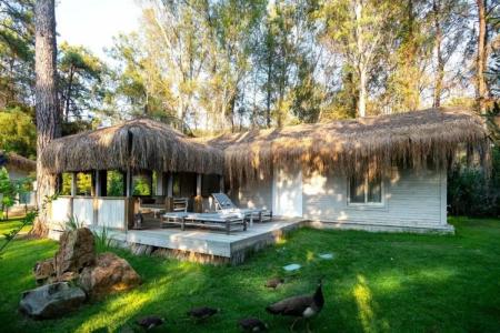 Golden Key Bordubet - 355