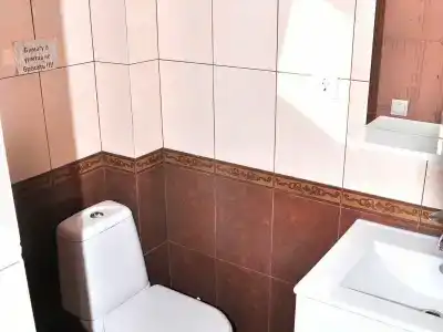 Фета - 132