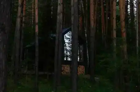Блэк пайн - 51
