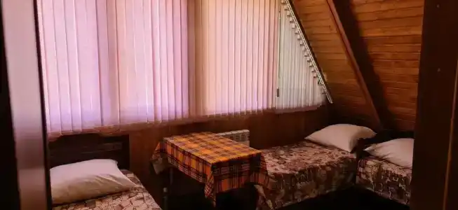 Диковинка - 56