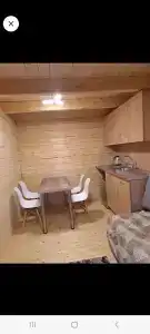 Крассула - 15