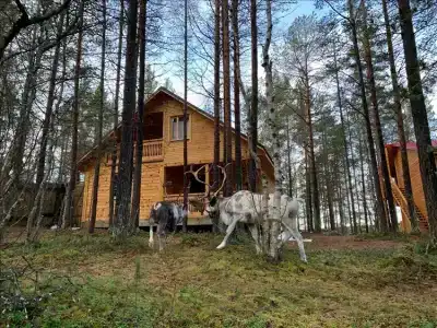 Каравелла - 190