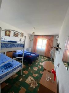 Роза Ветров - 53