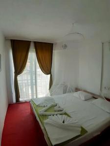 Caretta Caretta - 62