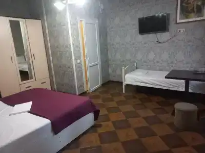 Сакура - 43