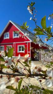 Александровский - 45