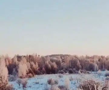 Подчерничье - 63