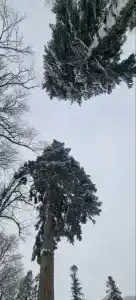 Вайб - 98