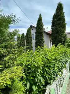 У Рыбного двора - 5
