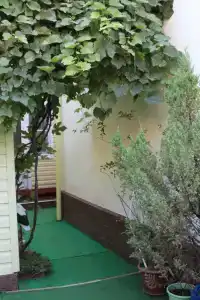 Уголок радости - 29