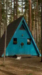 Глэмпинг Shanti Home - 250