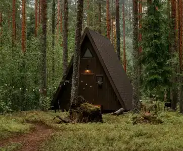 Глэмпинг Shanti Home - 235