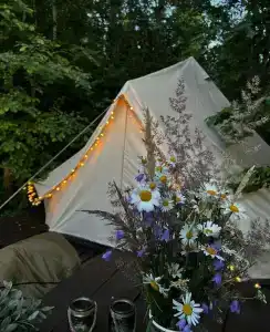 Глэмпинг Shanti Home - 329