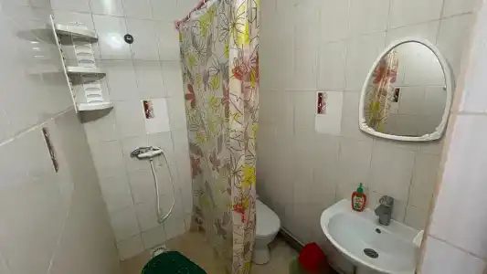 КристОля - 113