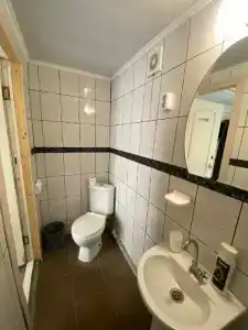 Инжир - 55