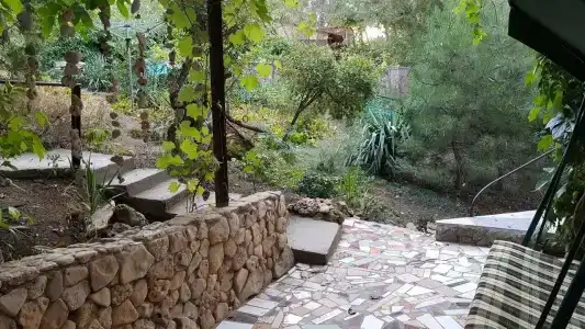 Замок грез - 255