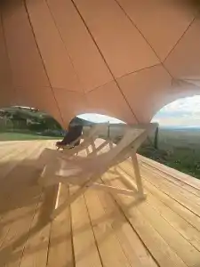 Живой дом - 8