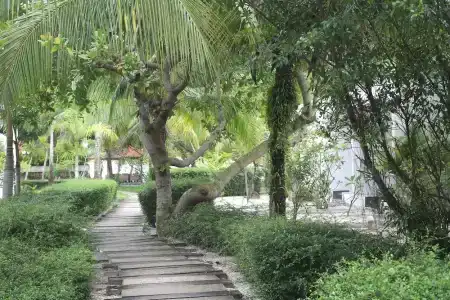 Long Set Resort - 66