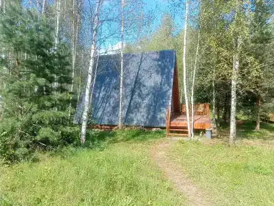Хвойный парк - 67