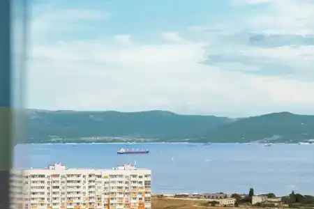 Панда - 168
