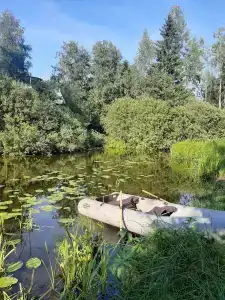 Зелёный холм - 31
