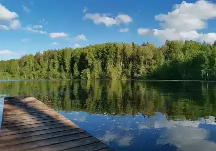 Бухта Лапиковых - 58