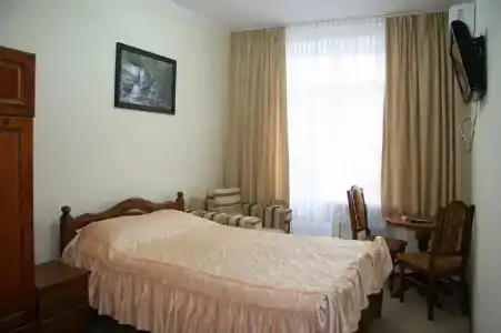 Виринея - 100