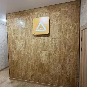 Апартикс - 55