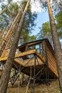 Суеты. нет - 50