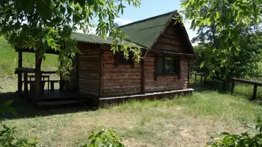 Приволье - 60