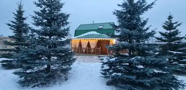 Сказочный домик заповедной деревни Кокшамары - 20