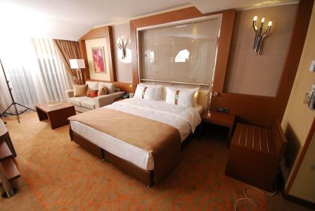 Holiday Inn Ankara-Kavaklidere, An Ihg - 169