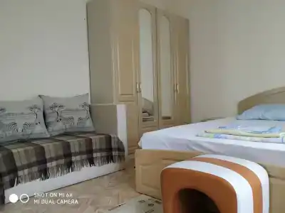 Яблоневый сад 56 - 56