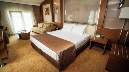 Holiday Inn Ankara-Kavaklidere, An Ihg - 105