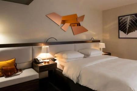 Radisson Blu Paris-Boulogne - 62