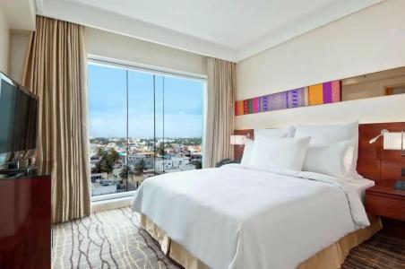 Hilton Chennai - 106