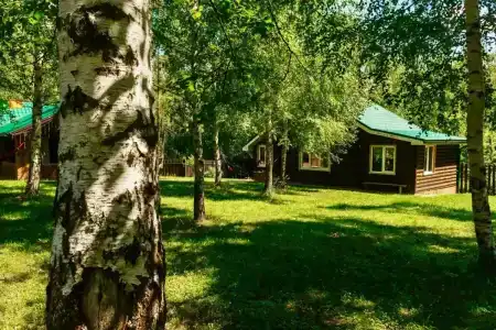 Гармония тишины - 56