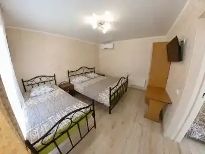 Фета - 120