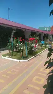 Колосок - 35