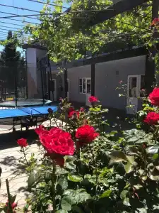 RoseHouse - 73