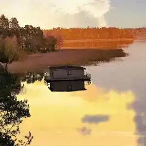 Ladoga Seal - 51