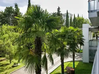 Дача Доктора Штейнгольца - 84