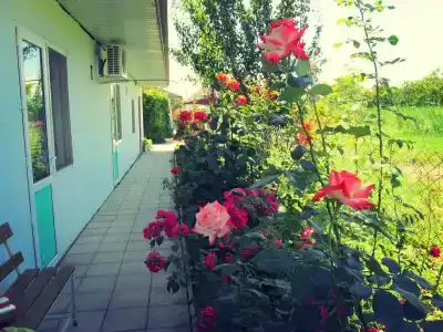 Белая лилия - 23