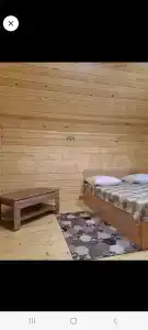 Крассула - 16