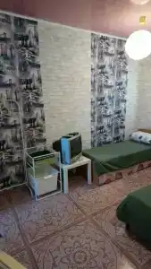 Диана - 66