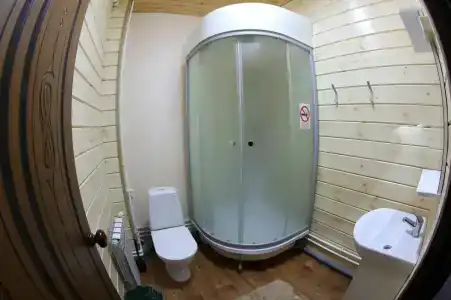 Домашний - 110