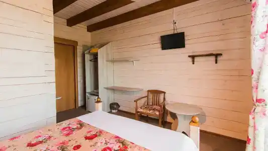 Профитто - 51