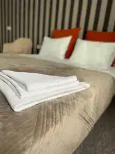 AlexhOtel - 52