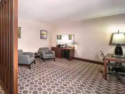 Mercure Istanbul West & Convention Center - 85